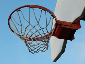开云体育官网登入-NBA球员防守意识培养训练法与行为转化研究，nba2021球员防守效率