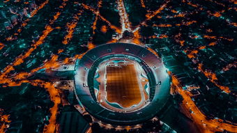 开云体育app在线-埃及队未来规划：全方位打造高水平乒乓队伍，埃及乒乓球男团名单