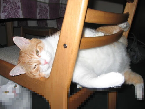 新赛季赛事安排科学合理,新赛季比赛