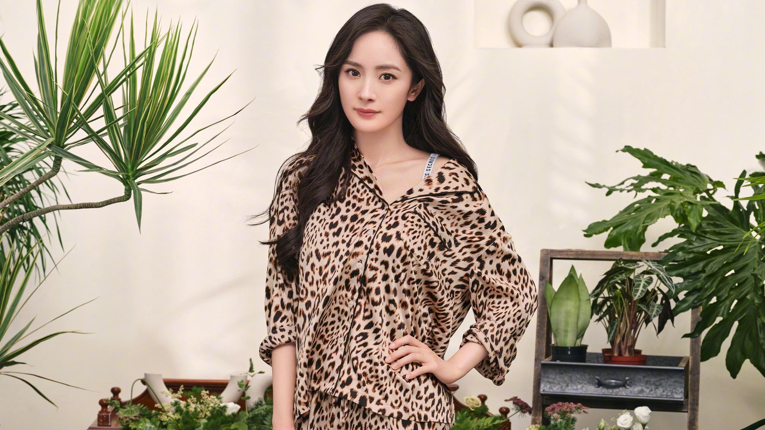 国王球迷应援创意登上球场主屏幕,国王球队在哪个城市