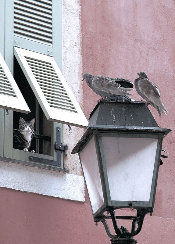 开云体育入口-寒冷天气影响比赛节奏体能储备成为胜负关键因素，天气寒冷运动