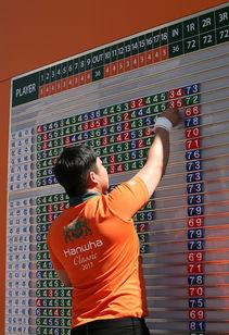 开云体育app-格鲁吉亚女篮在欧洲锦标赛中夺冠，崭露头角的佳绩队伍，格鲁吉亚参加过欧洲杯吗