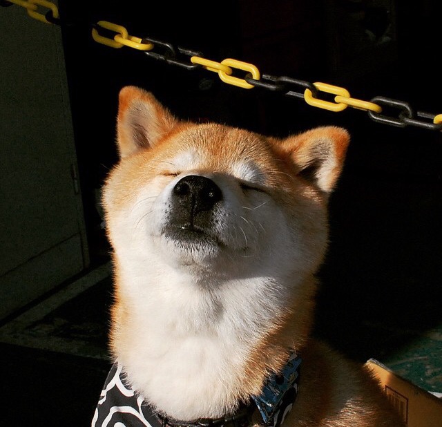 kaiyun开云体育-西班牙青年队在欧洲青年赛事中表现出色，未来可期