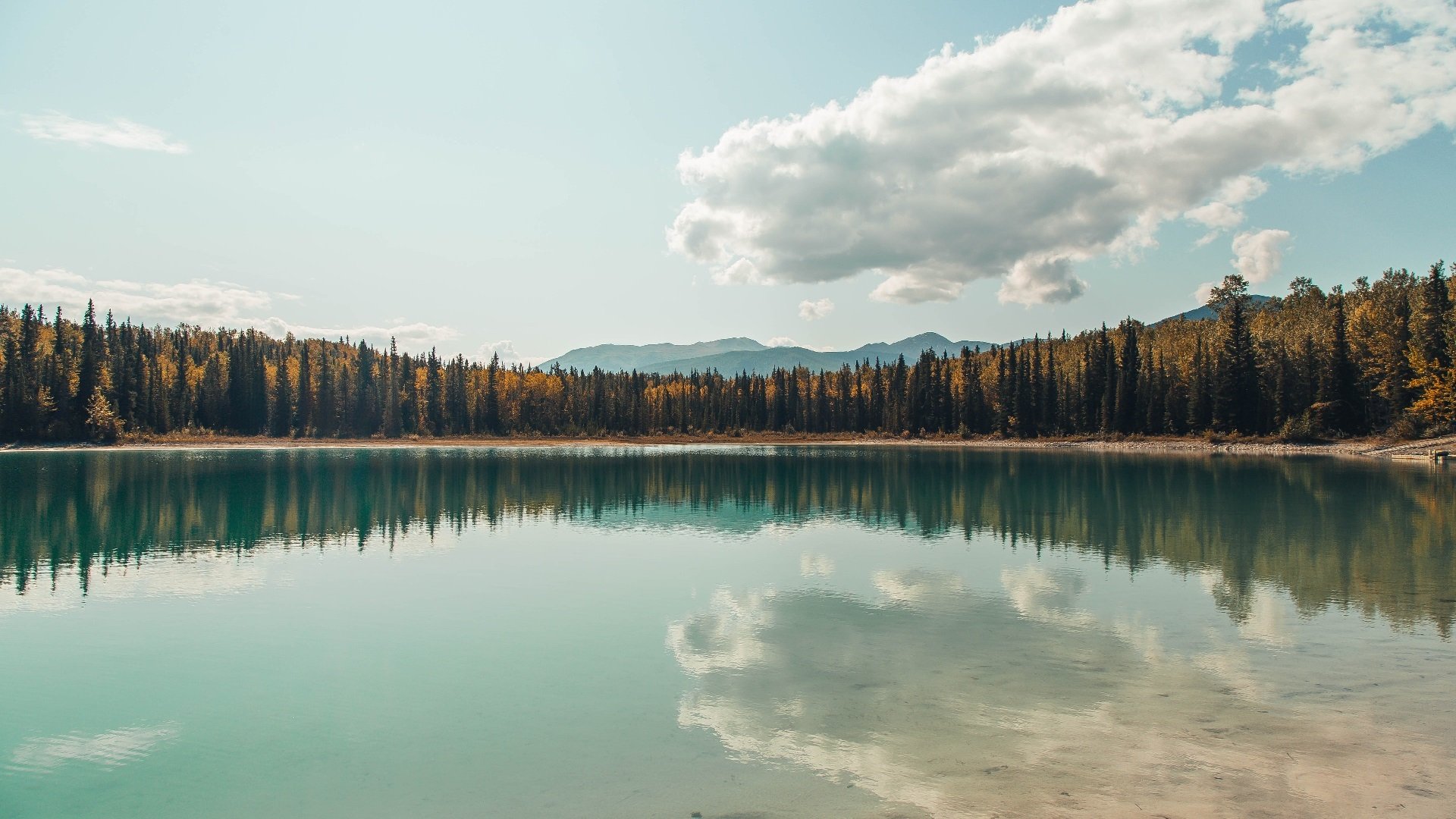 开云体育在线登入-足协发布新赛季联赛赛程调整通知各俱乐部关注，足协杯联赛2020赛程表